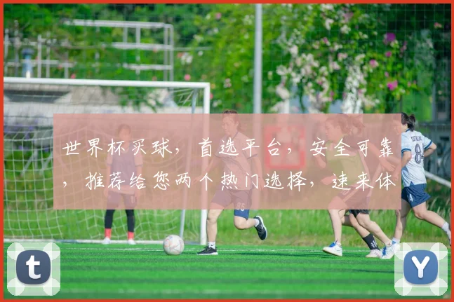 世界杯买球，首选平台，安全可靠，推荐给您两个热门选择，速来体验