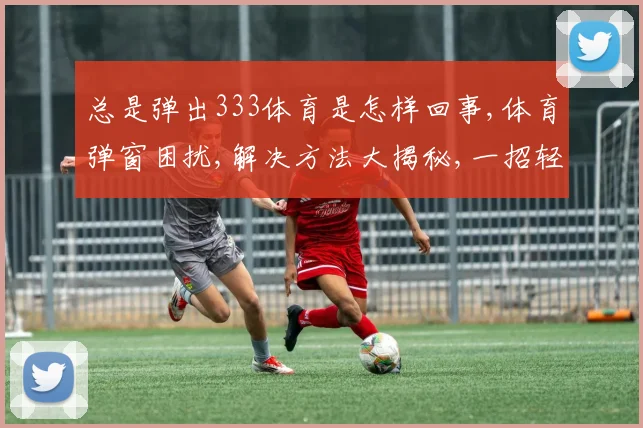 总是弹出333体育是怎样回事,体育弹窗困扰,解决方法大揭秘,一招轻松解决