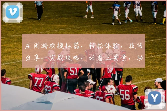 庄闲游戏模拟器，轻松体验，技巧分享，实战攻略，必看三要素，助你玩转牌桌